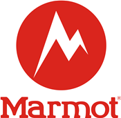 marmot